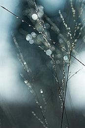 《最终幻想7：核心危机 再融合》PS版容量大小曝光 12月11日预载